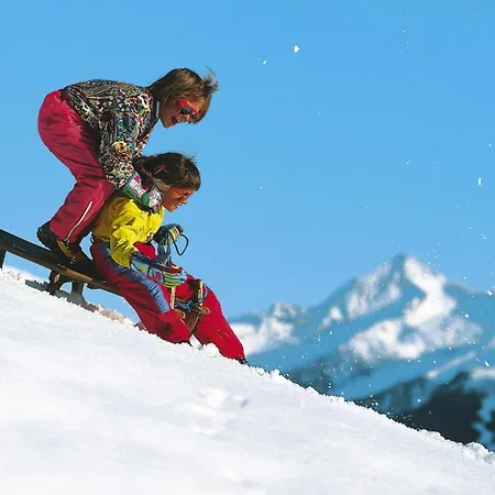 Chalet In Neukirchen *